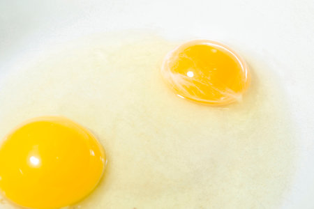 Close-up of egg yolk and proteinの写真素材