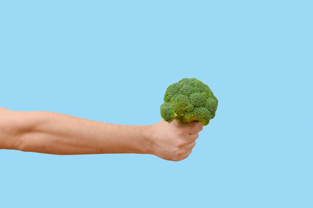 Male hand holding fresh organic broccoli isolated on blue background.の写真素材
