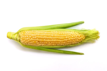 Fresh corn isolated on white background.