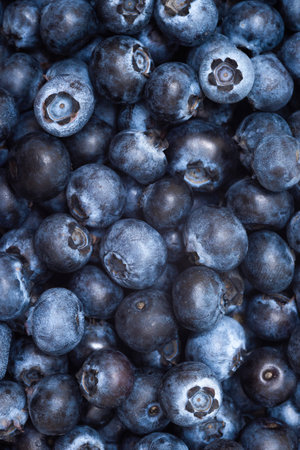 Fresh farm blueberries close-up. Texture of organic blueberries, top viewの写真素材
