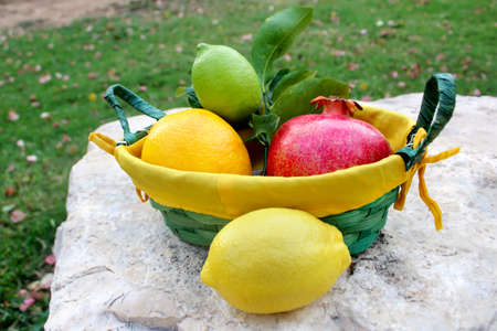Various fresh fruits in basket and without basket on the on natural large stone: lemon, pomegranate, orange, lime Concept Gifts of Natureの写真素材