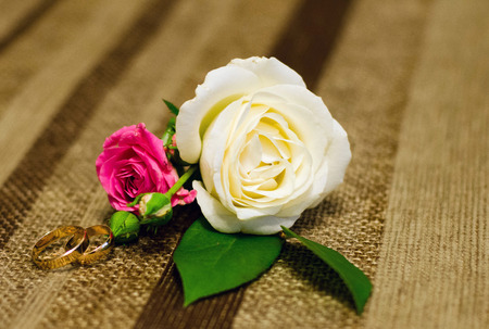 Wedding rings and roseの写真素材