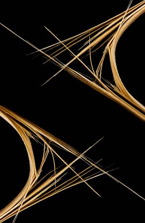 Broken stick on a black backgroundの写真素材