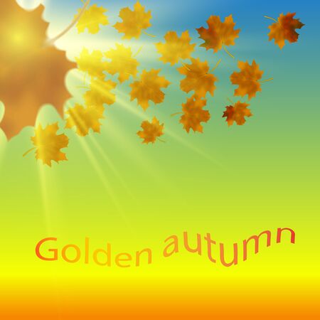 Eps10. Maple leaves at the end of autumn. In the background of heavenのイラスト素材