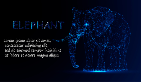 Polygonal lines abstract vector sample illustration with space elephant on the color night backgroundのイラスト素材