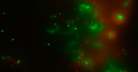 3d rendering. Christmas and New Year sparkling whirlwinds of star dust on a black background....