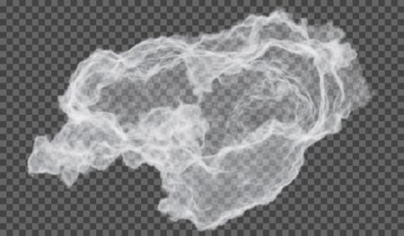 eps10. Transparent special effect stands out with fog or smoke. White cloud vector, fog or smogのイラスト素材
