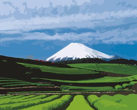Green tea fields and Mount Fujiのイラスト素材