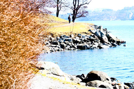 Beach and the waterの写真素材