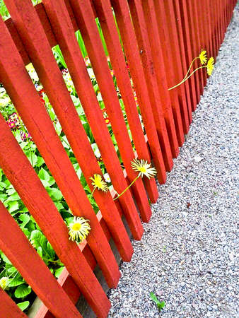 Red fence by the gardenの写真素材