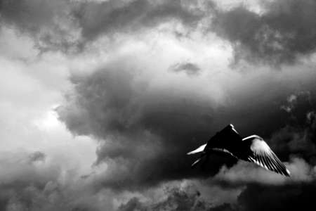 The blue sky and the cloudの写真素材