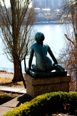 Beautiful nature in summer and springの写真素材