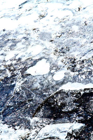 Winter and the snow in parkの写真素材