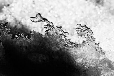 Winter and the snow in parkの写真素材