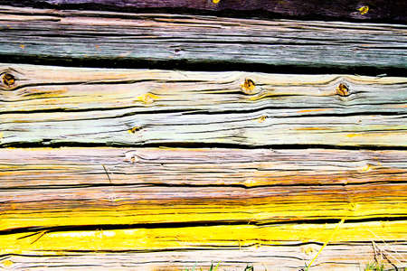 Tree and the wooden wall as a backgroundの写真素材