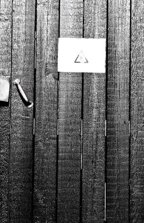 Wood of a tree as a backgroundの写真素材