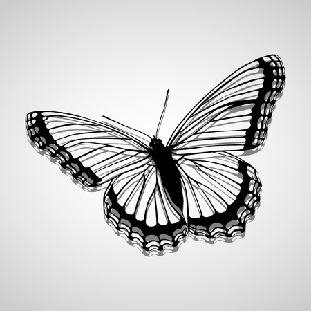 Butterfly icons set great for any use. Vector EPS10.のイラスト素材