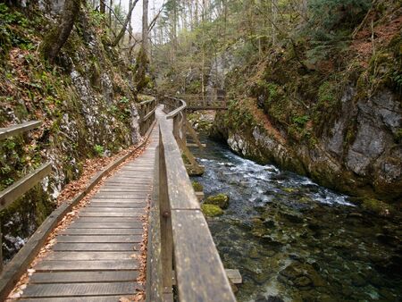 Wooden bridge, following river stream in the woods      の写真素材