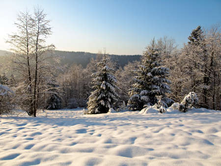 Winter sunset and sparkling snowflakesの写真素材