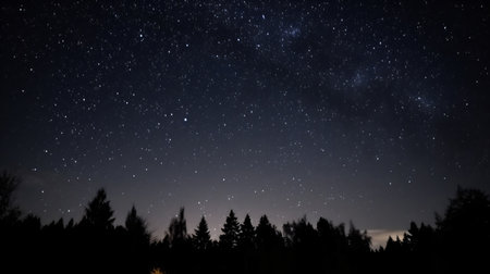 Night sky with stars and milky way over forest. Long exposureの素材