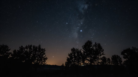 Milky way over the night sky with stars and silhouette of treesの素材
