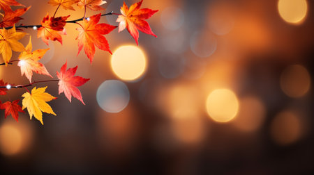 Autumn background with maple leaves and bokeh lights. Copy spaceの素材
