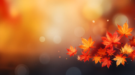 Autumn maple leaves on bokeh background with copy space.の素材