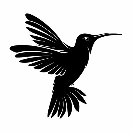 Hummingbird black and white vector illustration isolated on white background.のイラスト素材