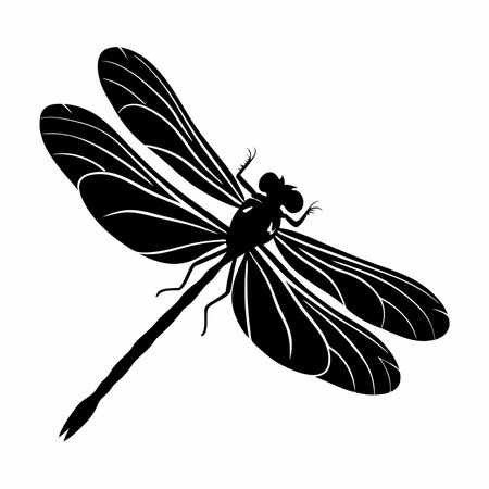 Dragonfly silhouette isolated on white background. Vector illustration of insect.のイラスト素材