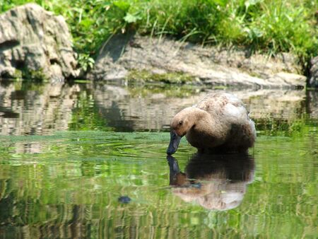 Quiet Drinkの写真素材