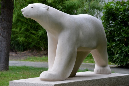 White bearの写真素材