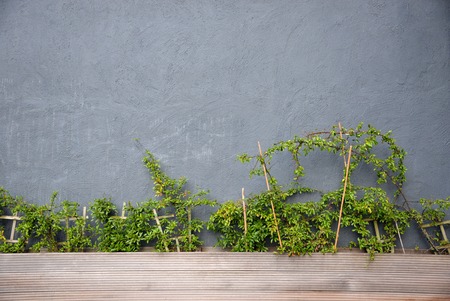 Backgroundの写真素材