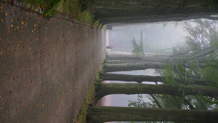 In a park in Antwerpの写真素材