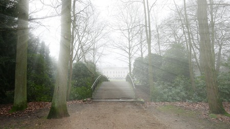 In a park in Belgium, January 2018.の写真素材