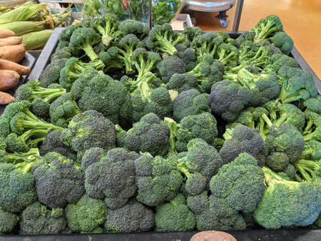 Various Broccoli Available for Purchaseの写真素材