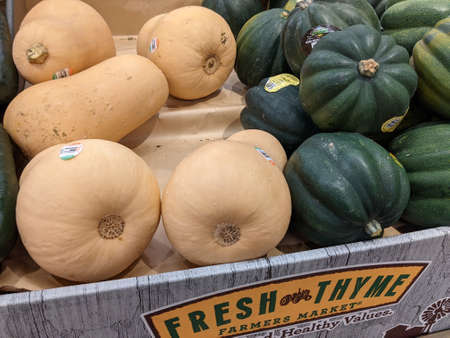 Various Squash Available for Purchaseのeditorial素材