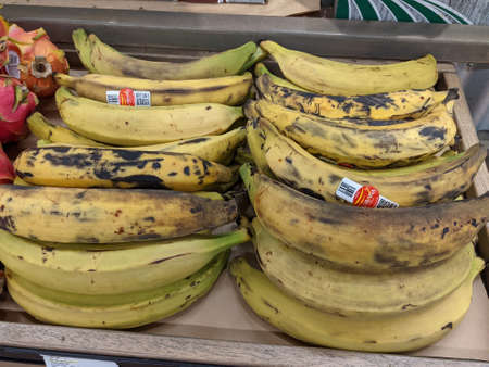 Various Bananas Available for Purchaseのeditorial素材