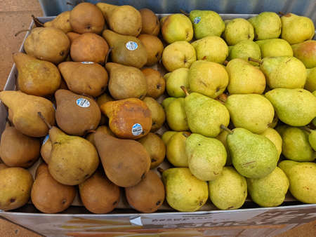 Various Pears Available for Purchaseのeditorial素材