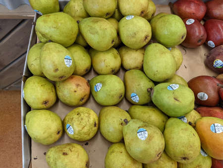 Various Pears Available for Purchaseのeditorial素材