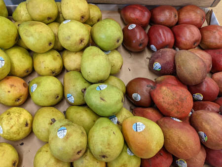 Various Pears Available for Purchaseのeditorial素材