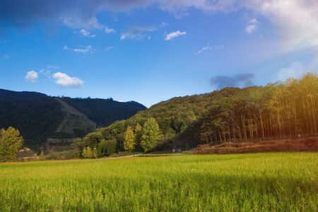 Beautiful farm land near mountainの写真素材