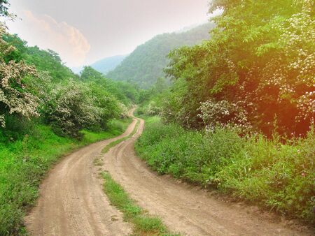 spring road to mountainの写真素材