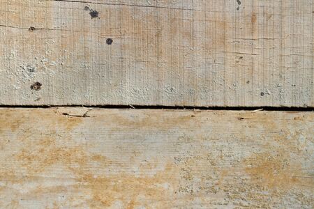 wall wood background texture
