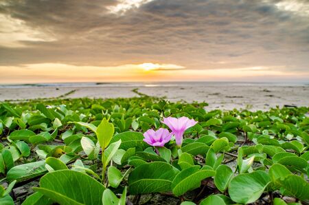 Point of Interestの写真素材