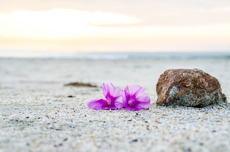 Couple of The Dayの写真素材