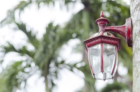 Old Lamp on the tree