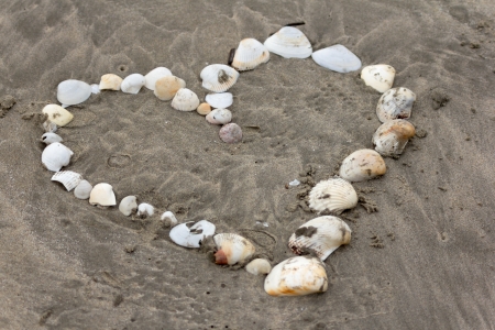 heart made with shellsの写真素材
