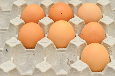 7 Eggs in egg boxの写真素材