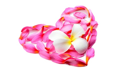 Frangipani Flowers in Heart Shape on White Backgroundの写真素材