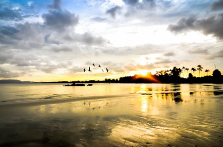 Beauty landscape with sunset over sea with bird flying aroundの写真素材